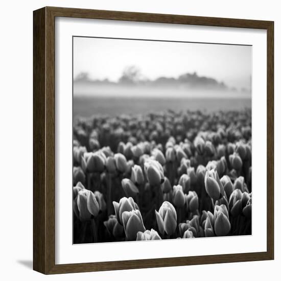 Netherlands-Maciej Duczynski-Framed Photographic Print