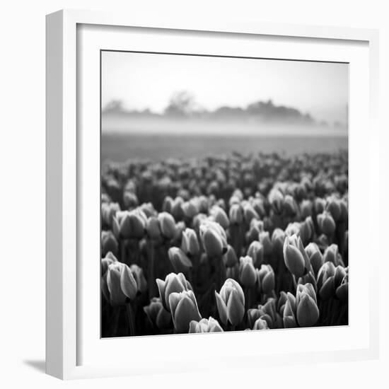 Netherlands-Maciej Duczynski-Framed Photographic Print