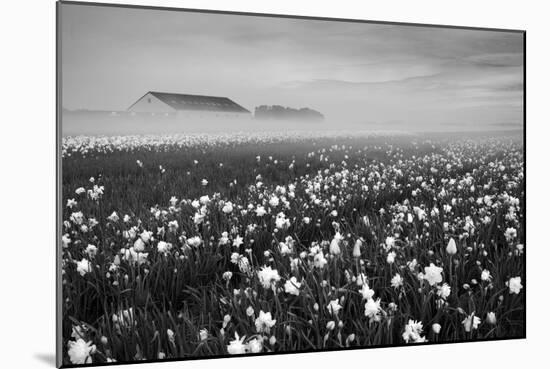 Netherlands-Maciej Duczynski-Mounted Photographic Print