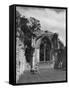 Netley Abbey-null-Framed Stretched Canvas