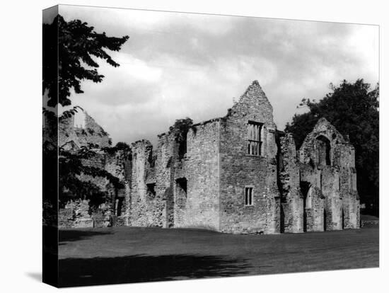 Netley Abbey-Fred Musto-Stretched Canvas