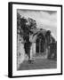 Netley Abbey-null-Framed Photographic Print