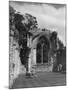 Netley Abbey-null-Mounted Photographic Print