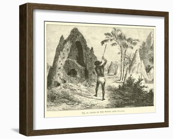 Nets of the White Ants, Termites-null-Framed Giclee Print