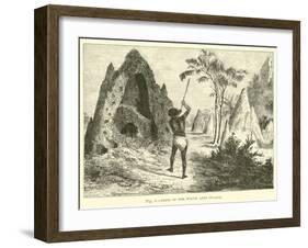 Nets of the White Ants, Termites-null-Framed Giclee Print