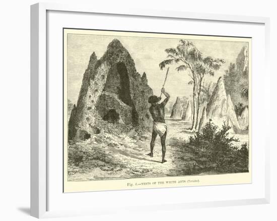 Nets of the White Ants, Termites-null-Framed Giclee Print