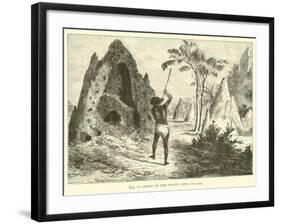 Nets of the White Ants, Termites-null-Framed Giclee Print