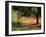 Nets under Olive Trees, Corsica, France, Europe-Miller John-Framed Photographic Print