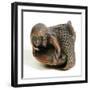 Netsuke Carved in the Shape of a Mermaid-null-Framed Giclee Print