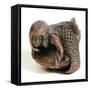 Netsuke Carved in the Shape of a Mermaid-null-Framed Stretched Canvas
