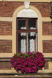 A Window in Krakow-neuartelena-Photographic Print