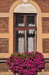 A Window in Krakow-neuartelena-Stretched Canvas