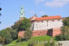 The Wawel Castle in Krakov-neuartelena-Framed Photographic Print