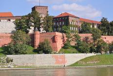 The Wawel Castle in Krakov-neuartelena-Photographic Print