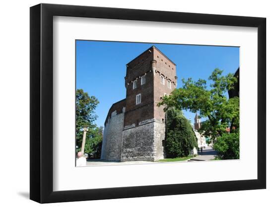 Premium Photographic Print, , large