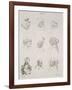 Neuf têtes-Leonardo da Vinci-Framed Giclee Print
