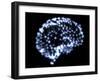 Neural Network-PASIEKA-Framed Photographic Print
