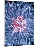 Neural Stem Cell Culture-Riccardo Cassiani-ingoni-Mounted Photographic Print