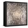Neuron in Aged Silver-Michael Willett-Framed Stretched Canvas