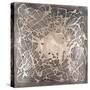 Neuron in Aged Silver-Michael Willett-Stretched Canvas