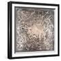 Neuron in Aged Silver-Michael Willett-Framed Art Print