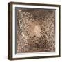 Neuron in Champagne-Michael Willett-Framed Art Print