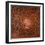 Neuron in Copper-Michael Willett-Framed Art Print