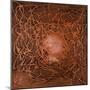 Neuron in Copper-Michael Willett-Mounted Art Print