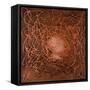 Neuron in Copper-Michael Willett-Framed Stretched Canvas