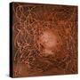 Neuron in Copper-Michael Willett-Stretched Canvas