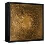 Neuron in Gold-Michael Willett-Framed Stretched Canvas