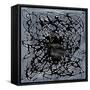 Neuron in Pearl Black-Michael Willett-Framed Stretched Canvas