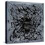 Neuron in Pearl Black-Michael Willett-Stretched Canvas