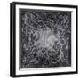 Neuron in Silver-Michael Willett-Framed Art Print