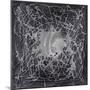 Neuron in Silver-Michael Willett-Mounted Art Print