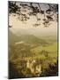 Neuschwanstein Castle, Bavaria, Germany, Europe-Charles Bowman-Mounted Photographic Print