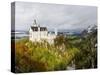 Neuschwanstein Castle, Bavaria, Germany, Europe-Gavin Hellier-Stretched Canvas