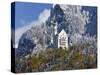 Neuschwanstein Castle, Bavaria, Germany, Europe-Gavin Hellier-Stretched Canvas