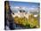 Neuschwanstein Castle, Bavaria, Germany, Europe-Gavin Hellier-Stretched Canvas