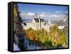 Neuschwanstein Castle, Bavaria, Germany, Europe-Gavin Hellier-Framed Stretched Canvas