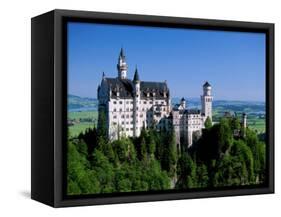 Neuschwanstein Castle, Bavaria, Germany-Steve Vidler-Framed Stretched Canvas