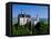 Neuschwanstein Castle, Bavaria, Germany-Steve Vidler-Framed Stretched Canvas