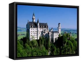 Neuschwanstein Castle, Bavaria, Germany-Steve Vidler-Framed Stretched Canvas