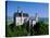 Neuschwanstein Castle, Bavaria, Germany-Steve Vidler-Stretched Canvas