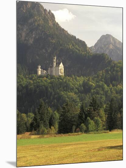 Neuschwanstein Castle, Built by King Ludwig, Fussen, Germany-Adam Jones-Mounted Photographic Print