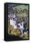 Neuschwanstein Castle, Fussen, Allgau, Allgau Alps, Bavaria, Germany, Europe-Markus-Framed Stretched Canvas