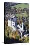 Neuschwanstein Castle, Fussen, Allgau, Allgau Alps, Bavaria, Germany, Europe-Markus-Stretched Canvas