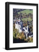 Neuschwanstein Castle, Fussen, Allgau, Allgau Alps, Bavaria, Germany, Europe-Markus-Framed Photographic Print