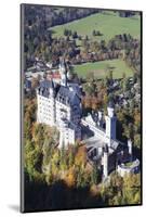 Neuschwanstein Castle, Fussen, Allgau, Allgau Alps, Bavaria, Germany, Europe-Markus-Mounted Photographic Print