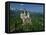 Neuschwanstein Castle, Germany, Europe-Williams Andy-Framed Stretched Canvas